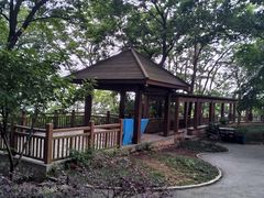 -紫金山山顶公园
