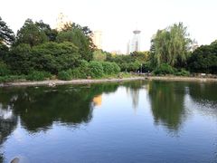-新虹桥中心花园