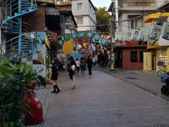 -猫咪博物馆(顶澳仔猫街店)