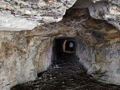 -上海佘山国家森林公园天马山园