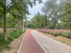 -绿堤公园