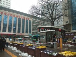 -河南中医药大学第一附属医院-医疗整形