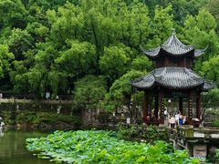 -忠山公园