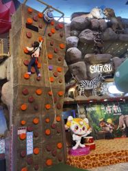 -卡通尼·Safari非洲探索乐园·生日会(金桥国际商业广场店)