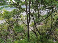 -大渡口区义渡公园