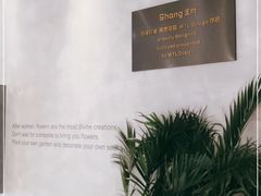 -金尚源SHANG