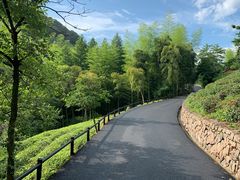 -裸心谷·裸心味餐厅