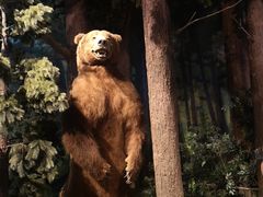 -陕西自然博物馆