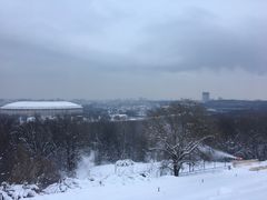 -莫斯科大学