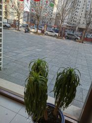-卡尔诗·科技美肤连锁