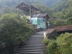 -藏龙百瀑风景区