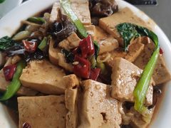 -特种渔场