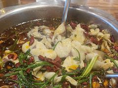 -乡土特色.冷锅鱼.牦牛肉汤锅