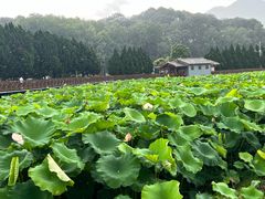 -古田会议纪念馆