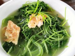 上汤益母草-园林美食城·本土农家菜(杨和镇店)