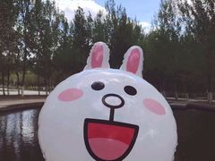 -长白岛森林公园
