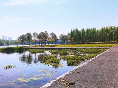 -尚贤河湿地