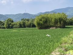 -良渚古城遗址公园
