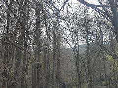 -波尔登森林公园