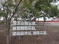-东海半边山旅游度假区