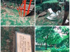 -陈家山荷花公园