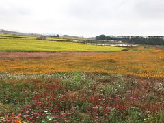-光明小镇欢乐田园