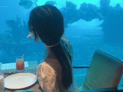 -海棠湾洲际-涛·海底餐厅·美人鱼·自助餐·海底隧道