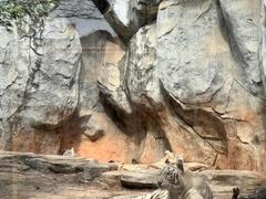 -灵玲国际马戏城
