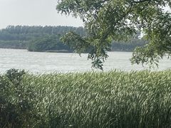 -丁香湖公园