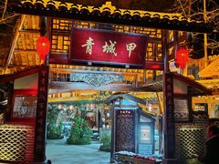 -青城甲(青城山店)