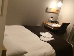 -秋叶原华盛顿酒店