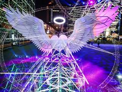 -锦江乐园舞狸花花游园会(夜场专享)