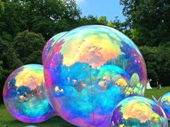 -上海共青森林公园