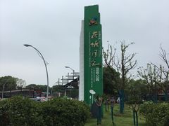 -荷塘月色湿地公园·向阳花洲