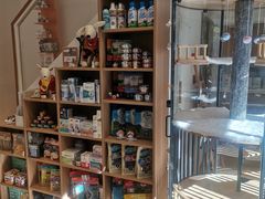 -佐罗家宠物馆·猫文化馆(紫霞路店)