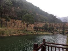 -桃花岭景区