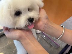 -帕帕拉兹宠物(亚洲旗舰店)