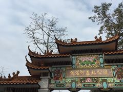 -广州市流溪河国家森林公园