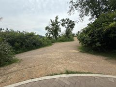 -青龙山国家森林公园