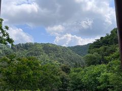 -田心森林公园