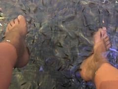 -水晶之星洗浴温泉汗蒸