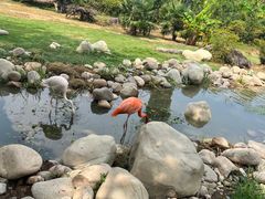 -宁波野生动物园