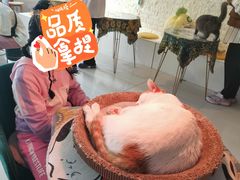 -平行世界·猫咖(首经贸店)