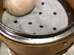 -糖朝(尖沙咀店)