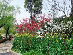 -南汇桃花村