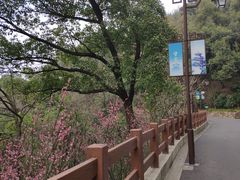 -杭州半山国家森林公园