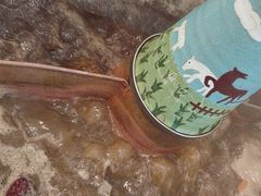 -阿古蒙·传统涮火锅自助(三台子万象汇店)