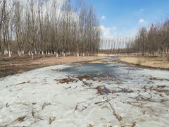 -东郊湿地公园