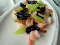 -云中小雅