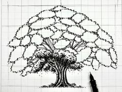 -杨梅红艺术教育(北京金源购物中心校区)